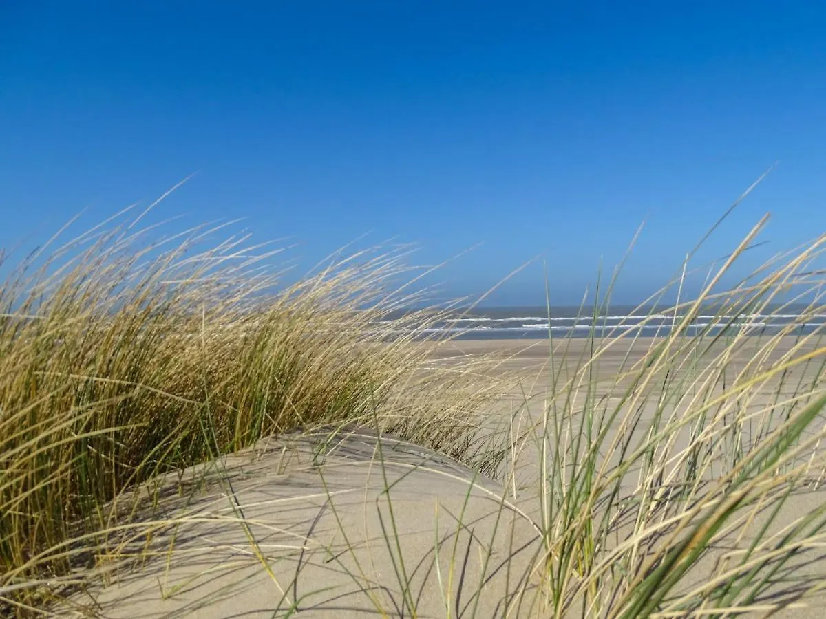 B&B De Drukkerij Zandvoort - Charming Private Guesthouse 0*,
